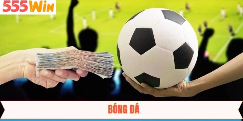 Bóng Đá - Trải Nghiệm Thế Giới Cá Cược Đỉnh Cao Tại 555Win
