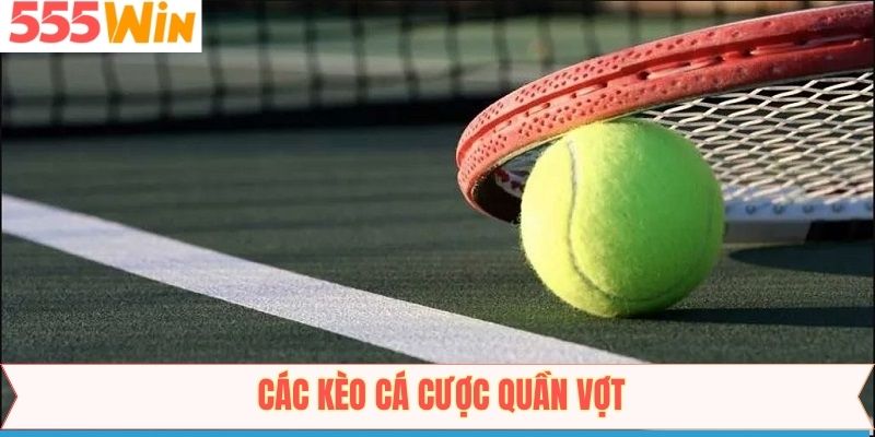 Tổng hợp các loại kèo cược quần vợt phổ biến nhất 555Win