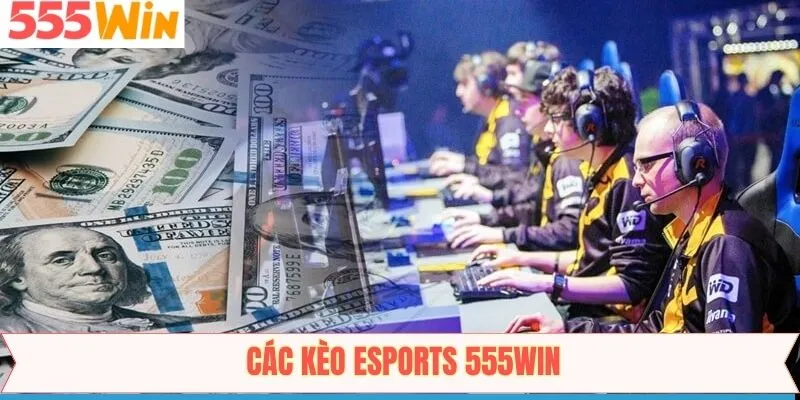 Các hình thức cược thú vị trên esports 555win