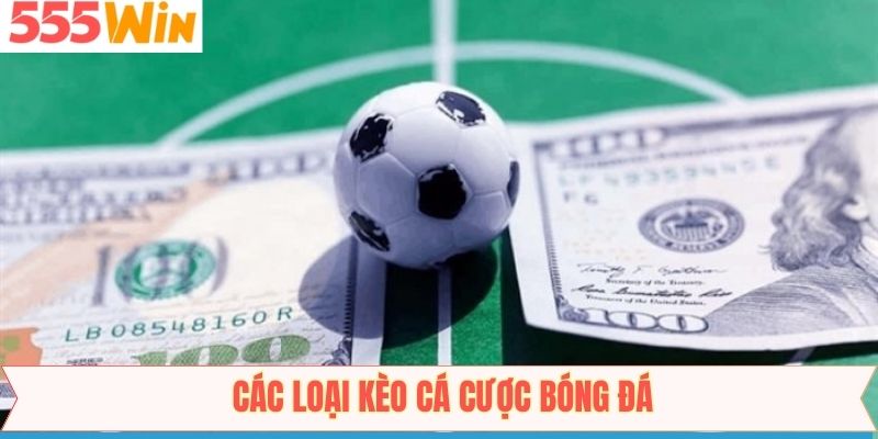 Tổng hợp loại cá cược bóng đá ưa chuộng tại 555Win