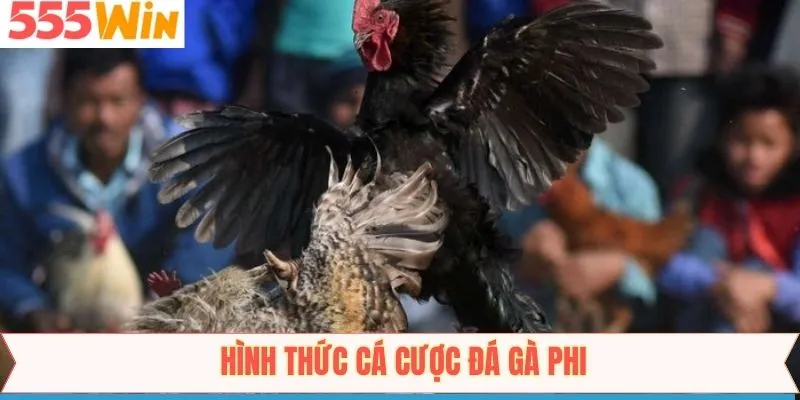 Tập hợp những dạng cược đang được áp dụng