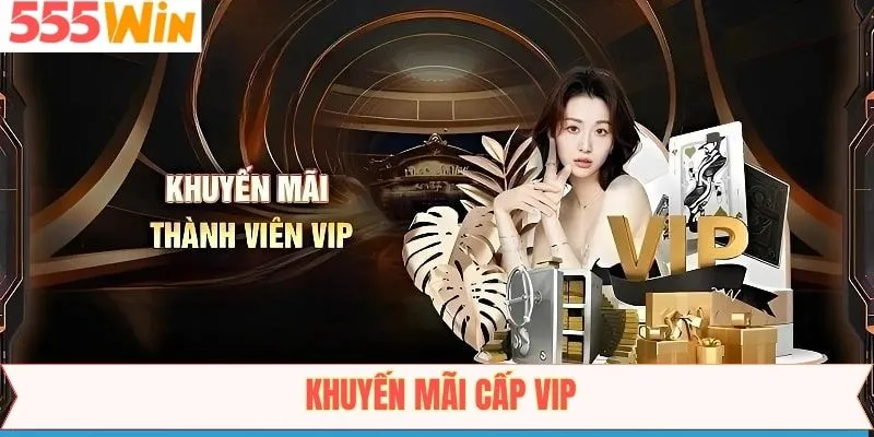 Khuyến Mãi Cấp Vip - Sự Kiện Vàng Cho Hội Viên Tại 555Win
