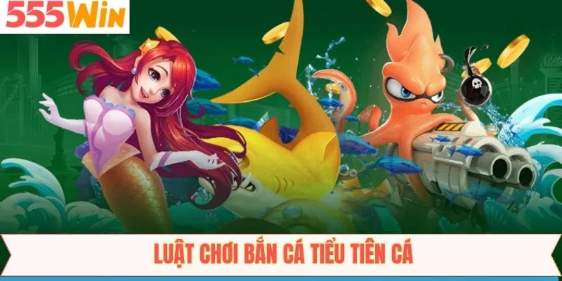 Quy tắc cùng các chức năng trong bắn cá Tiểu Tiên Cá
