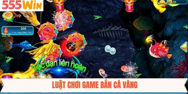 Bật mí cách tham gia săn cá dễ dàng tại 555Win
