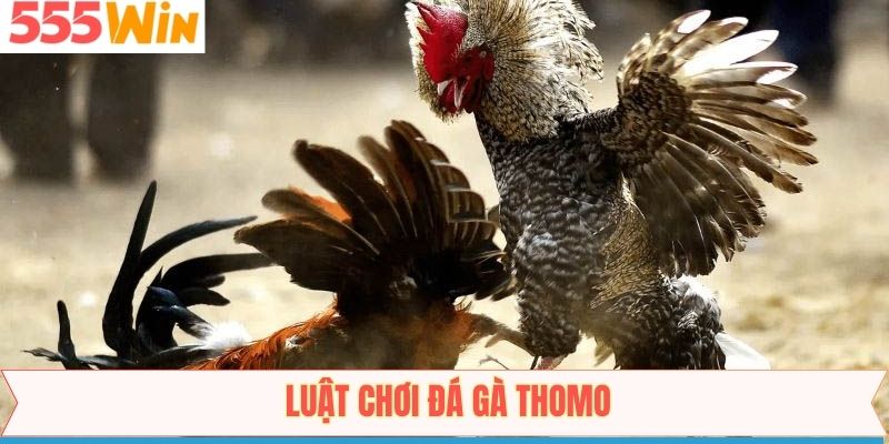 Những quy định chung đối với mỗi ván đấu