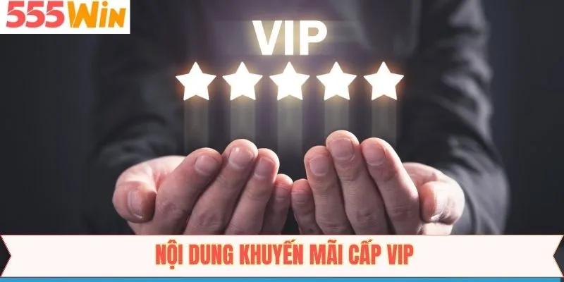 Khuyến mãi cấp vip cho khách hàng mới gia nhập
