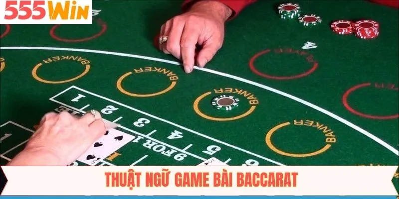 Tìm hiểu một số thuật ngữ cơ bản trong rồng hổ