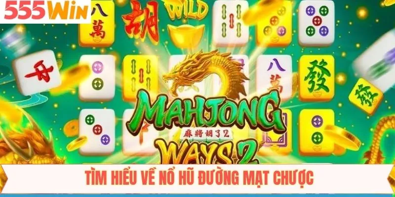 Thông tin về đường mạt chược