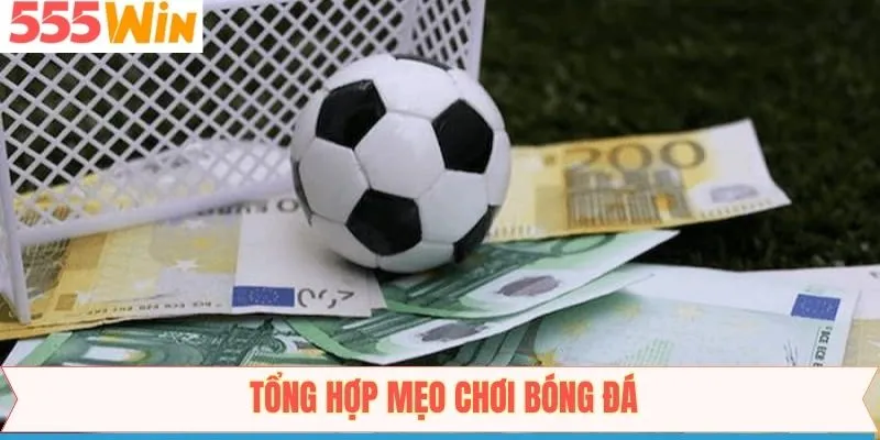 Mẹo chơi bóng đá nên nghiên cứu trước mọi dữ liệu