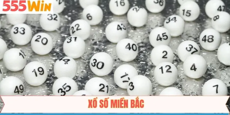 Xổ Số Miền Bắc 555Win – Cập Nhật Kết Quả Nhanh Và Chuẩn Xác